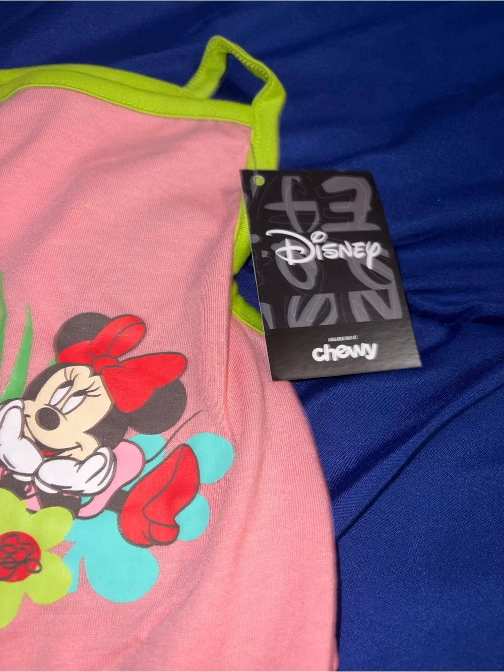 Disney minnie mouse